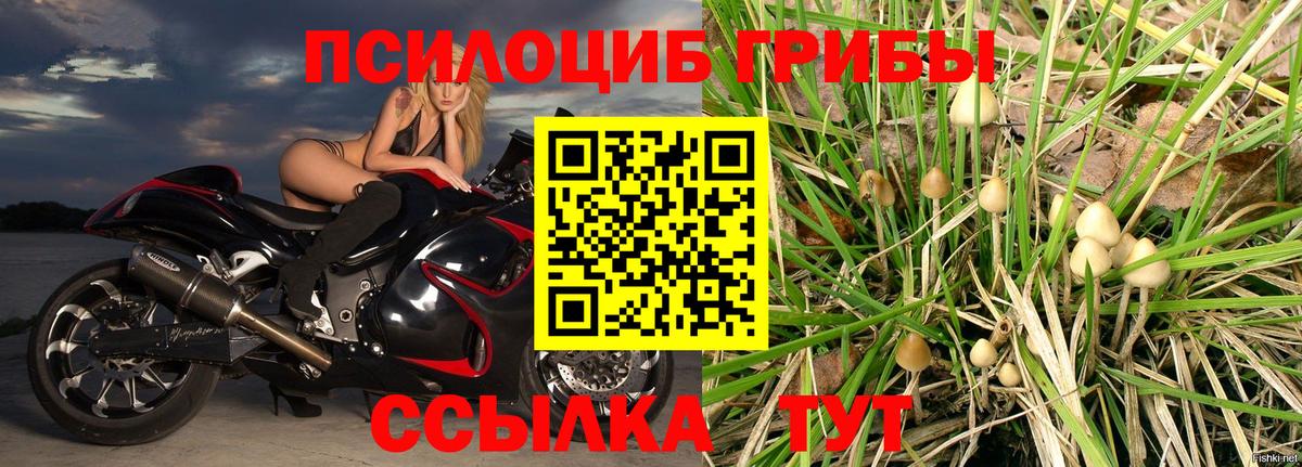 Галлюциногенные грибы прущие грибы Анапа